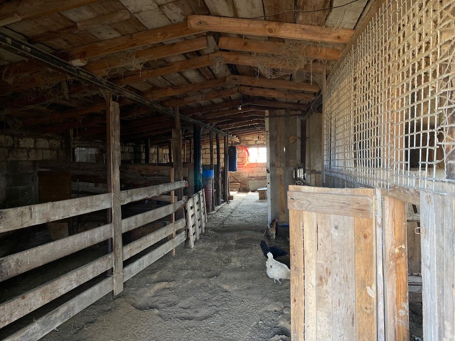 Торг есть звоните