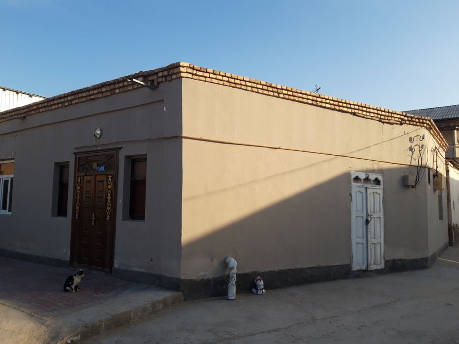 Xushnudbek bekturdiyev