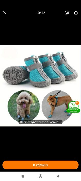 обувь для собак .мелких пород
