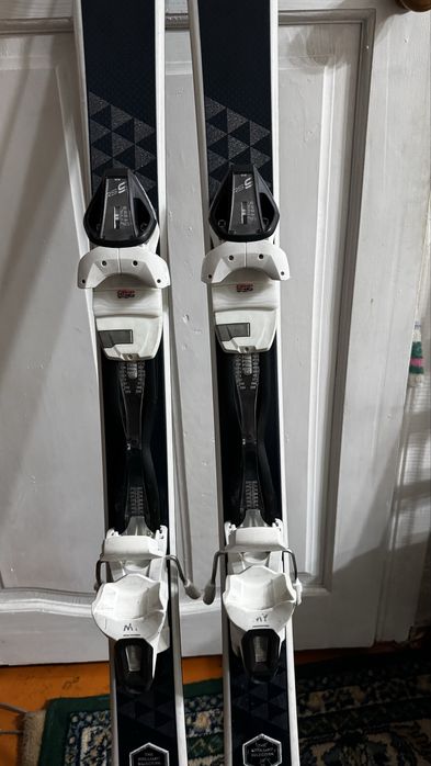 Горные лыжи FISCHER