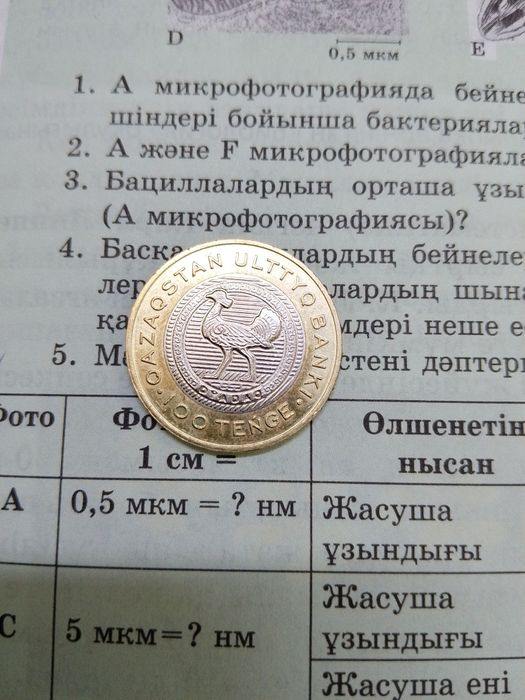Монета           кз