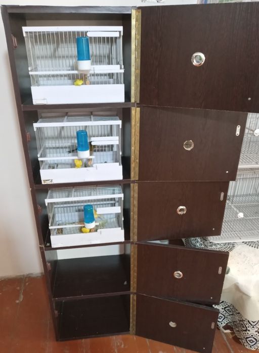 Шкаф для канареек