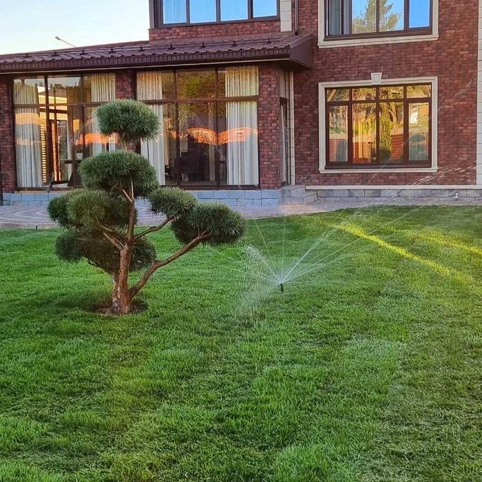 Качественный Рулонный газон с укладкой под ключ газонная трава Посев: 2 ...