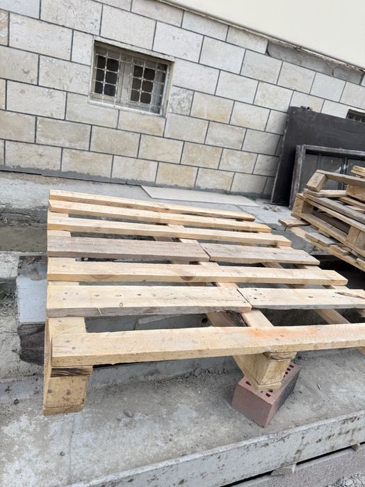 Paddon  бор оптомга