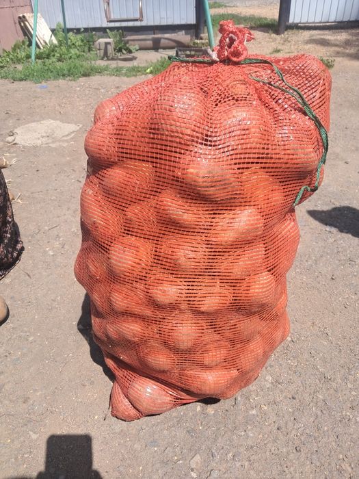 Картофель мешок .