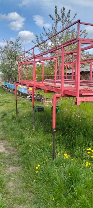 Rastel apicol albine.