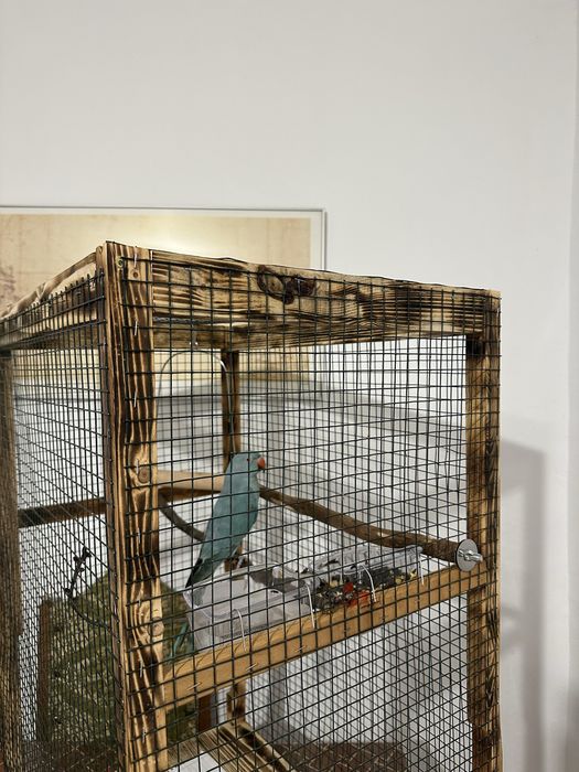 Colivii, hrănitoare păsări, voliere etc. Personalizate pe comandă!