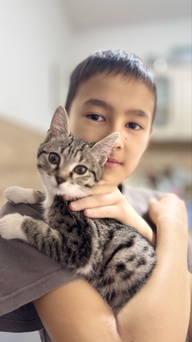 Отдам котенка в хорошие руки.