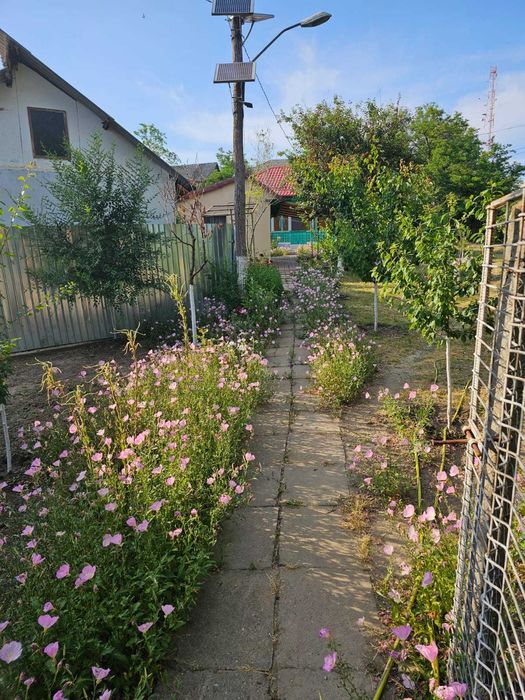 Casa dispunere centrala in OANCEA !