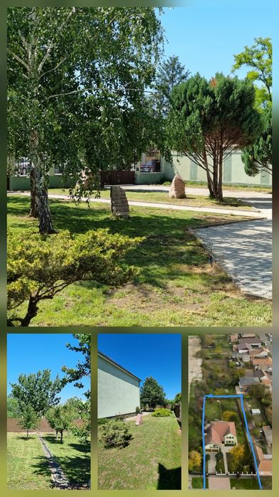 Vând casă / vilă în Gai ( Str. Fagului ).