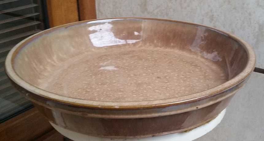 Продавам саксия, 25л, уникат