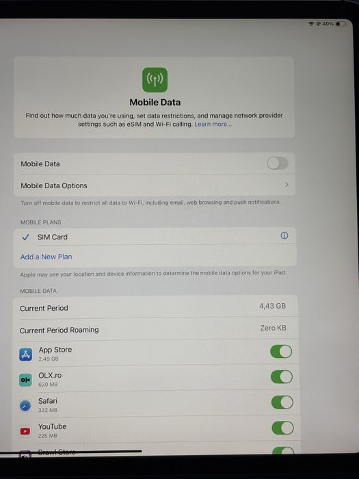 iPad Pro 12.9 inch