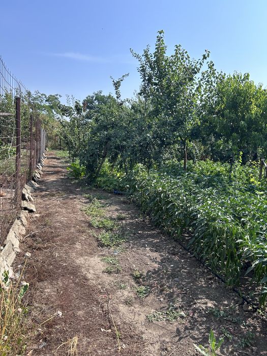Ai obosit de agitația orașului? Poate că „acasă” te așteaptă la Pogoanele. Casă de vânzare în Pogoanele,