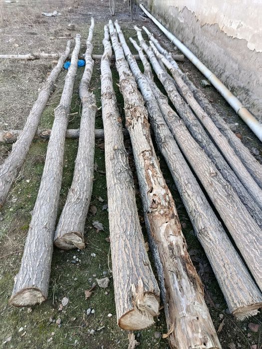 Тераклар ва утинлар сотилади.
Шахсий ховлида турибди.