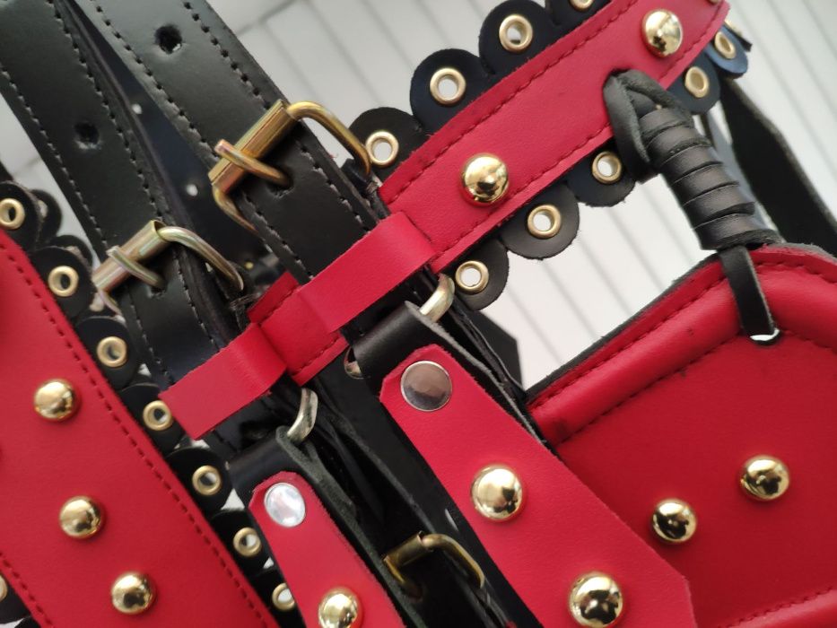 capici-cu-salba CAL/MAGAR/PONEI | set premium ... ⟣GARANTIE ⁴⁸