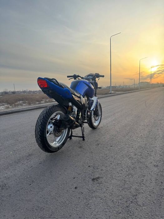 Рейсер нитра 250 куб 2023 года