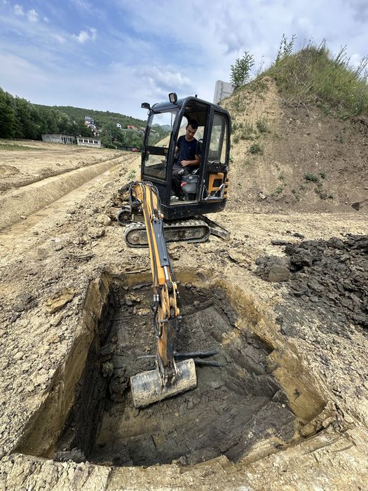 De vanzare excavator 2.2  tone