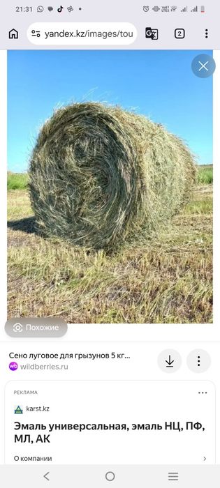Продам с места 200 кг+-