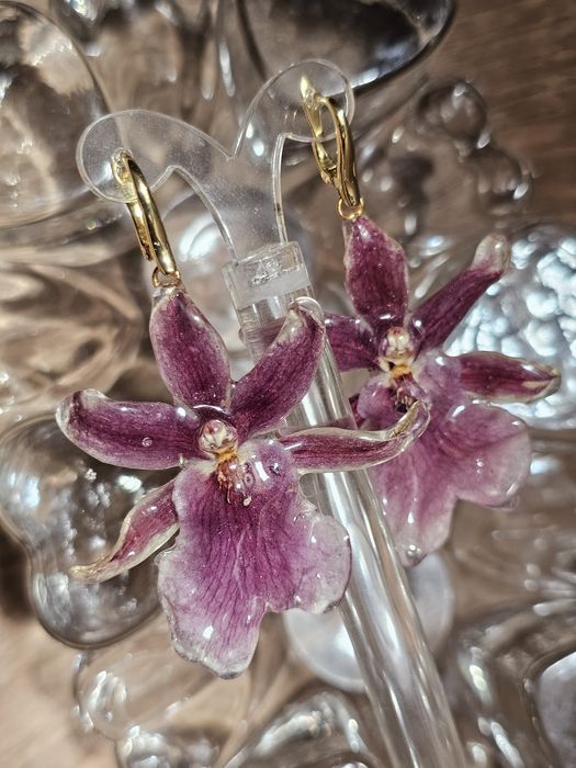 Обеци с естествен цвят на мини орхидея Miltonia.