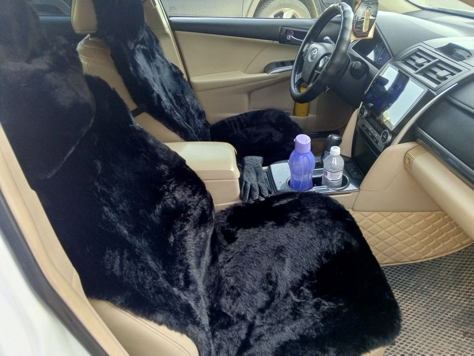 Бесплатно в подарок