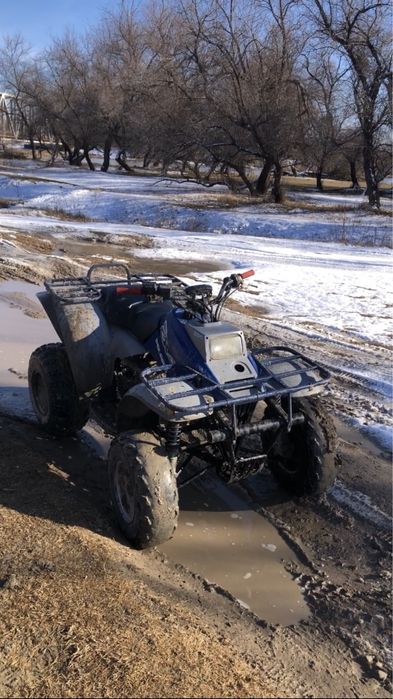 Квадроцикл Polaris 250