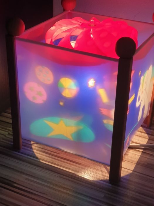 Veoza camera copilului