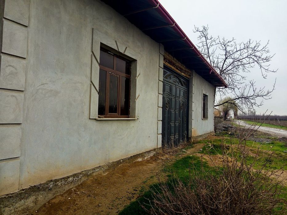 JOMBOY TUMAN  Qora moyi mahalasi