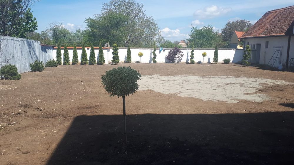 Gazon rulou si insamantare