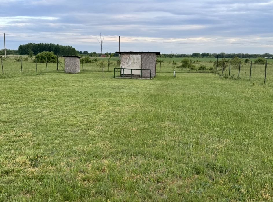 Schimb teren in Mosnita cu apartament
