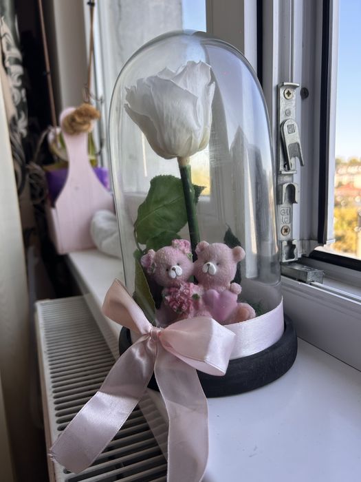 Trandafir criogenat alb cu cupola de sticla