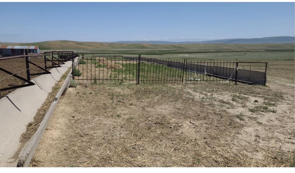 Фазенда крестянское хозяйство кашар