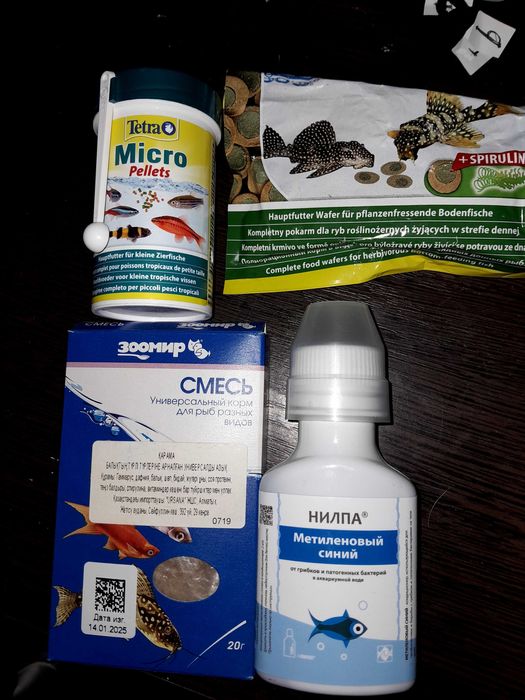 Аквариум с  улиткой