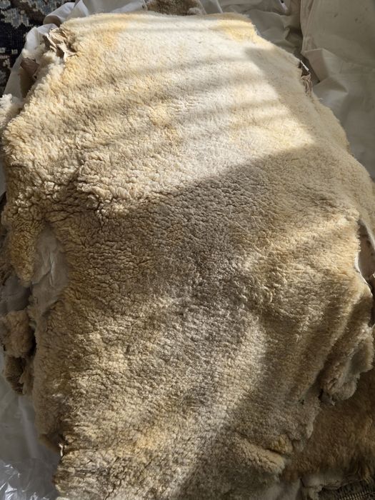 Piei de oaie și miel