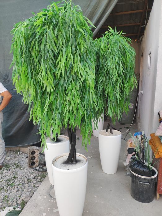 Искусственные ива суниий мажнунтол