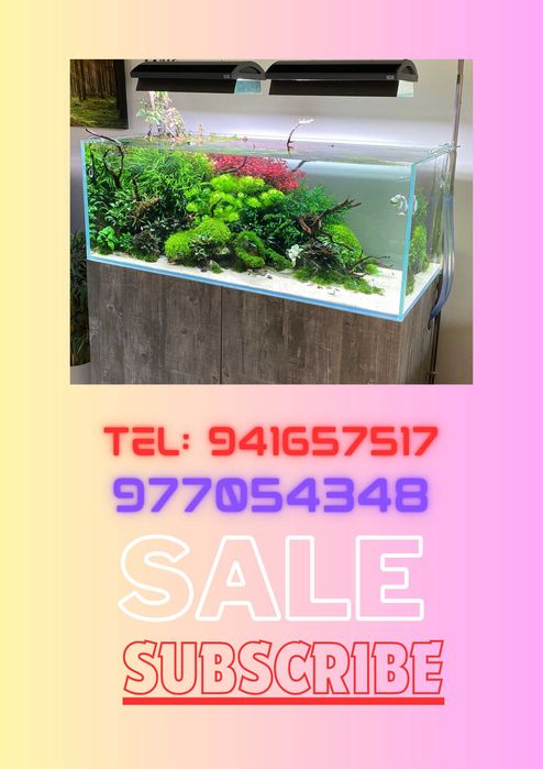 Akvarium zakaz istalgan kattalikda bo'lishi mumkin,Akvarium sotuvi.