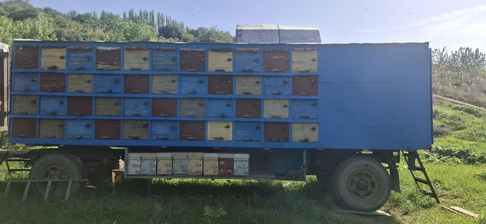 Прицеп для перевозки Пчел(асалари)