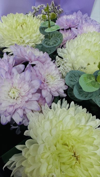 Хризантемы огромный свежий букет