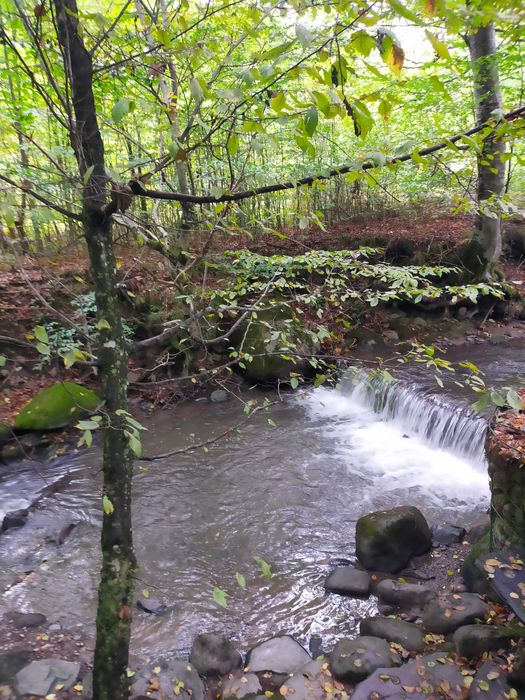Cazare Casa Foisor Sovata