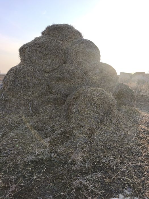 Продам салому в рулонах и мешками сабан