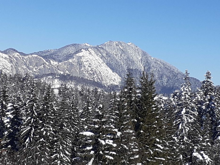 Predeal-Forban vand teren pe munte 10000 mp cu PUZ,  apa gaz curent