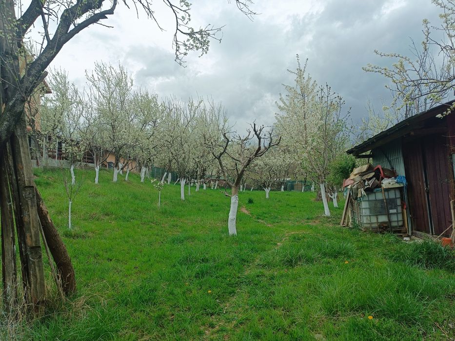 Vând casă Poienarii de Muscel