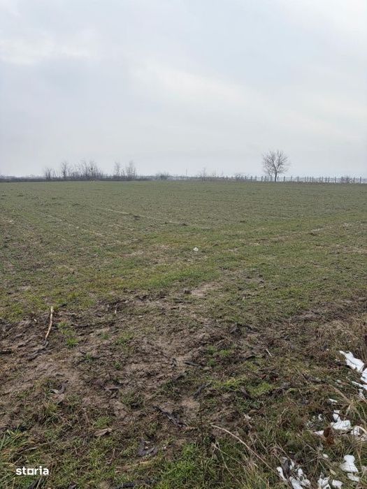 Teren de 9000mp, la intrarea in Filiasi ,la 300m de str. Racoteanu