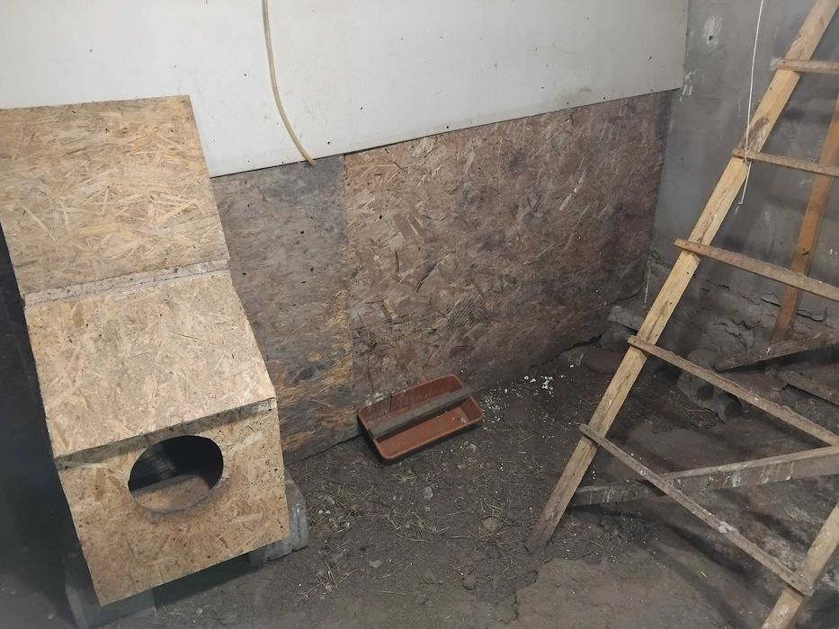 Дом село Павлодарское