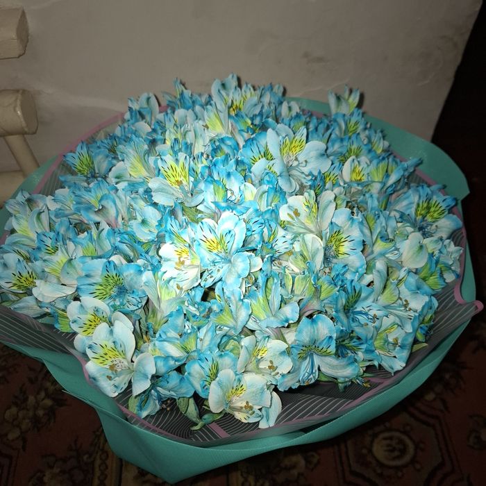 Цветы свежые куплена день назад