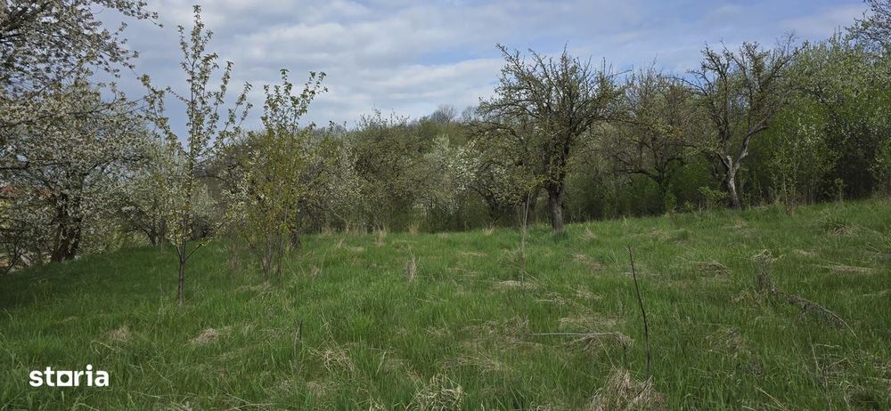 Teren cu vedere panoramica de vânzare în Chinteni