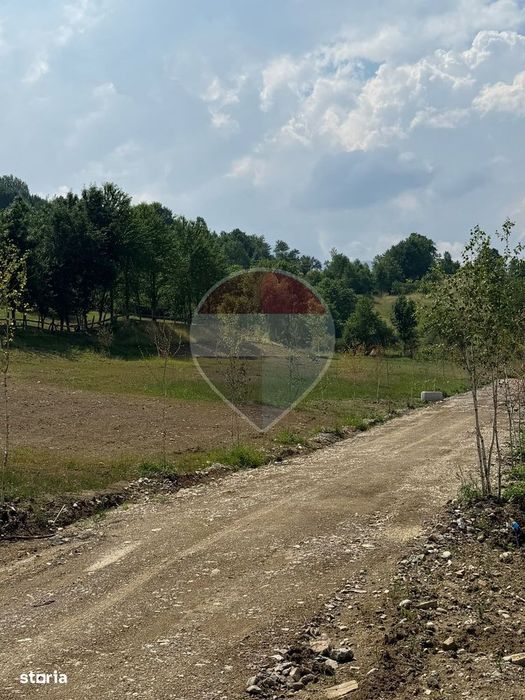 Teren 1,000mp Sohodol, cu utilitati / Strada Sohodol