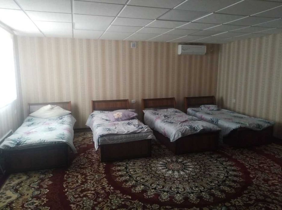 Chorvachilik kompleksi dala shiyponi