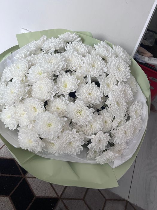 Белый хризантема сатылады