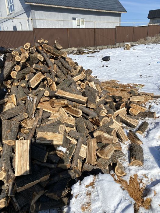 Продам Дрова Карагачь