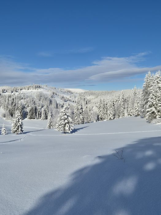 Casă de vînzare  la muntte